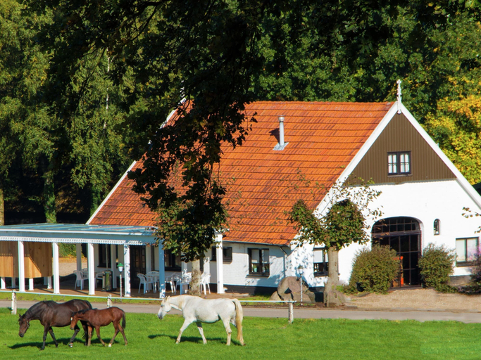 Others 1, Chalet in Netherlands with Private Garden, Dinkelland