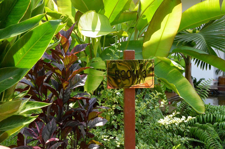 Others 4, Cominsia Lodge, Kaeb