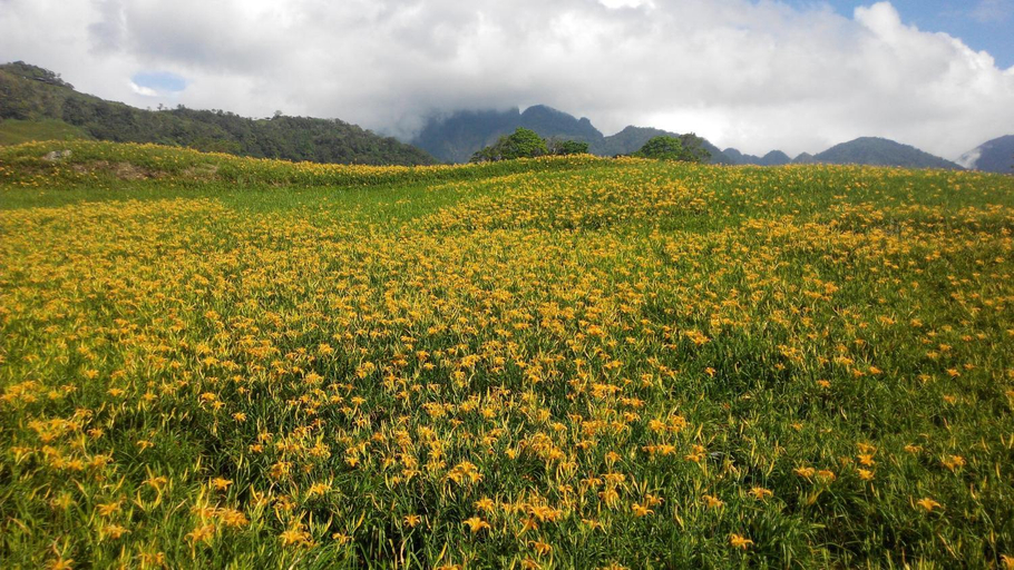 Others 5, 3520 Homestay 台東縣民宿編號586號, Taitung