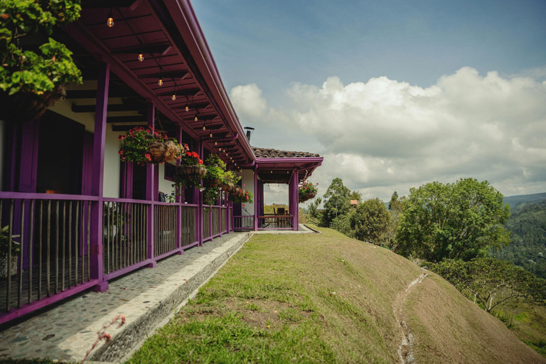 Exterior & Views 2, La Casa en las Nubes, Salento