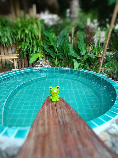 Sport & Beauty 5, The Frog Cabana, Wang Num Khiaw