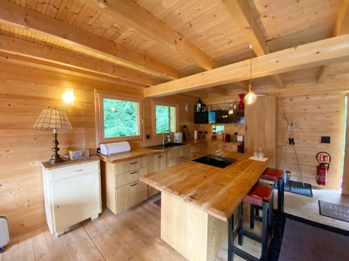 Others 5, Chalet in Rossiniere Near Glacier & Lake, Pays-d'Enhaut