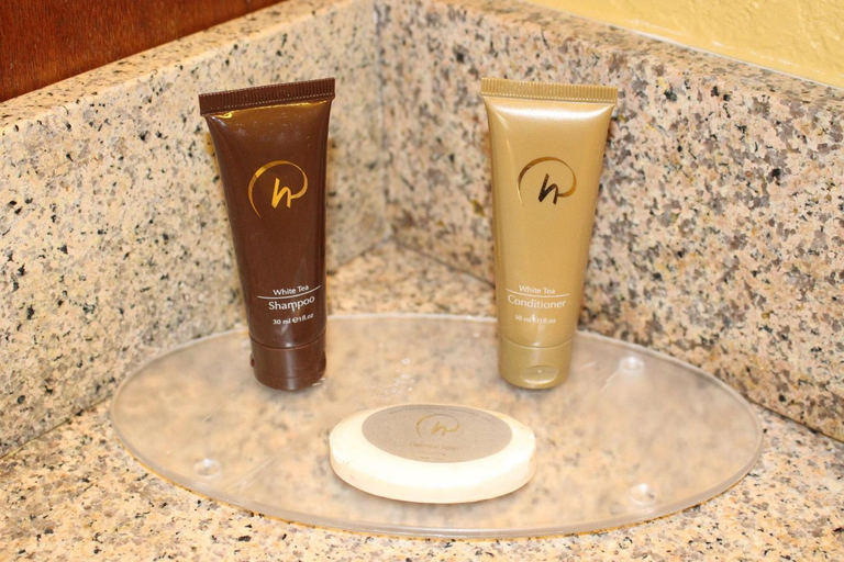 Bathroom 3, Rosen Inn International, Orange