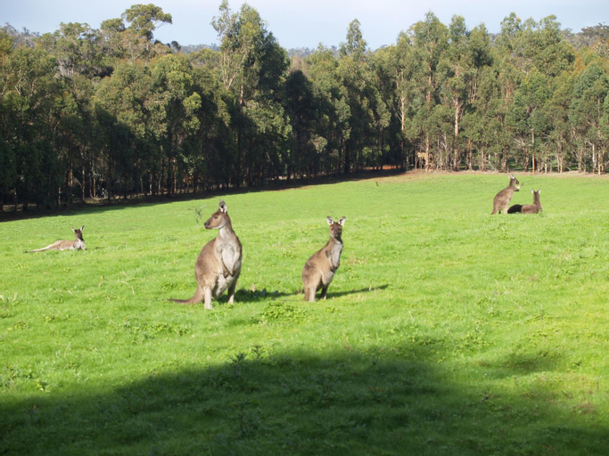 Others 2, Karri Valley Chalets, Manjimup