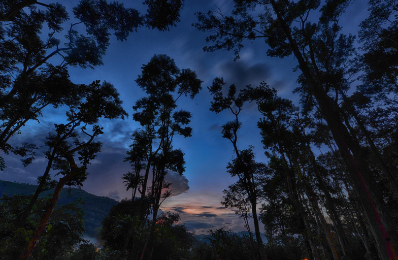 Scenery