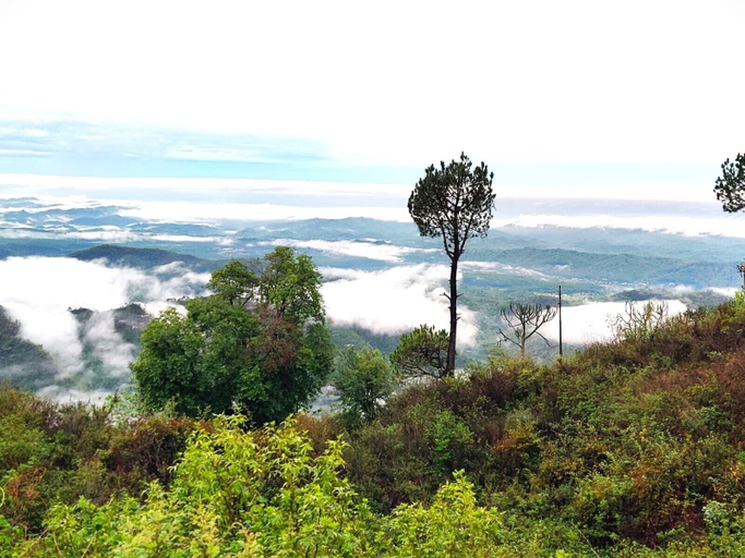 Others 5, Jaitak Resort By Pine, Sirmaur