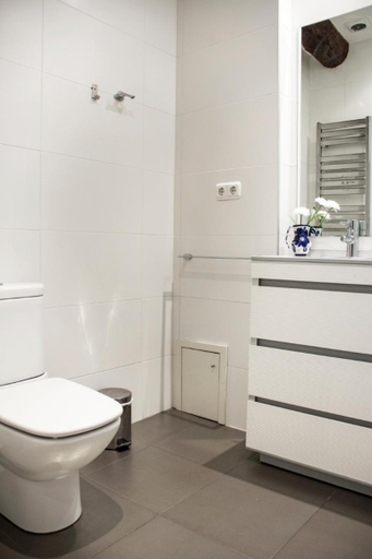 Bathroom 2, Spacious, Central and Authentic Family Apartment, Guipúzcoa