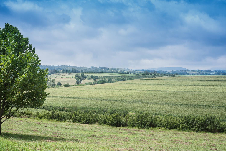 Others 5, Glen Ormond, Umgungundlovu