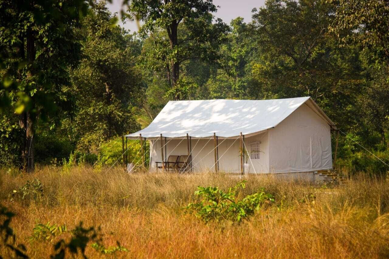 Others 5, Umaria Safari Camp -Kanha National Park, Mandla