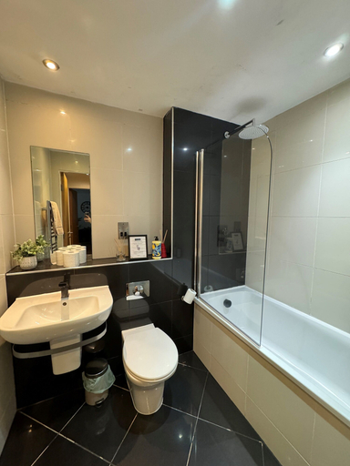 Bathroom, Sheffield 6th Floor City View Apartment, Sheffield