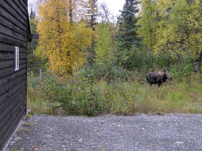 Others 5, Grace and Bill's Freedom Hills B&B, Matanuska-Susitna