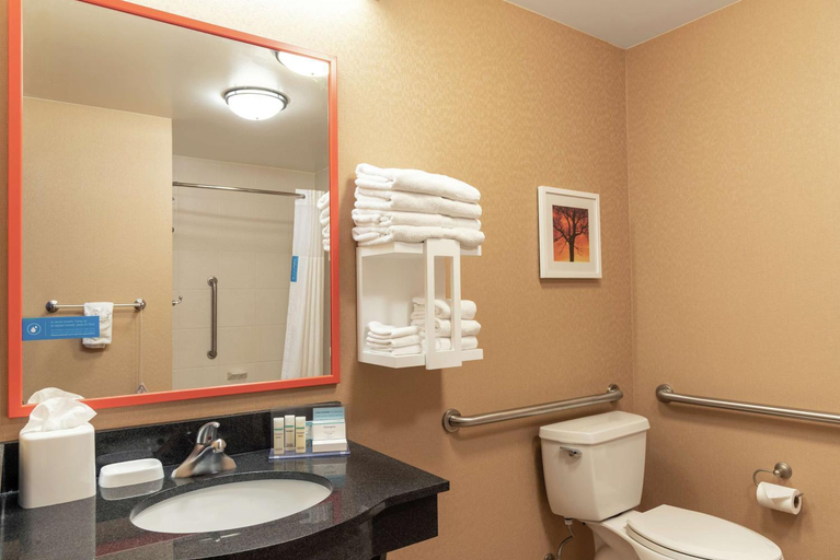 Bathroom 4, Hampton Inn & Suites Marshalltown, Marshall