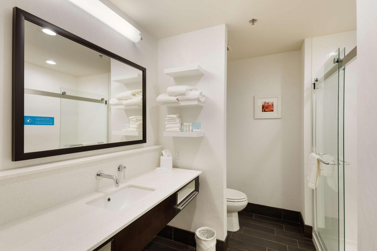 Bathroom, Hampton Inn Morristown I-81, Hamblen