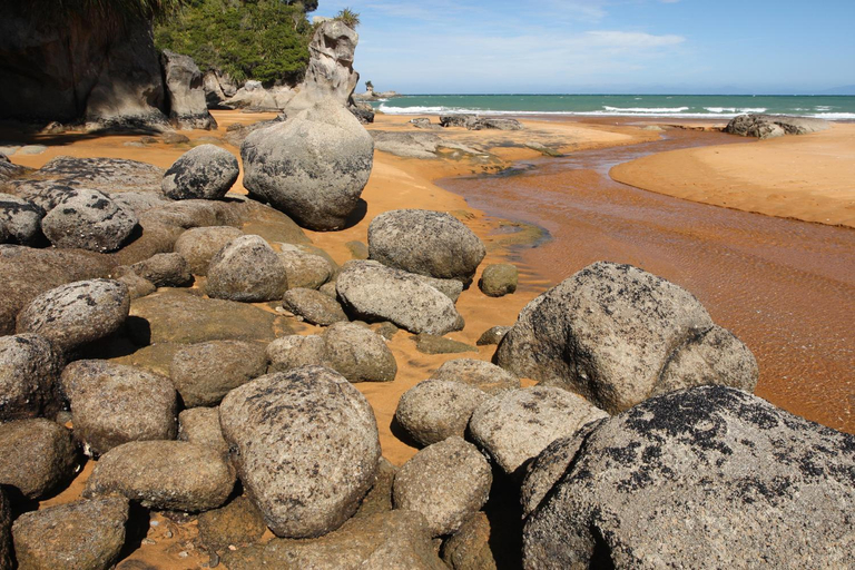 Others 5, The Bay Lodge, Tasman