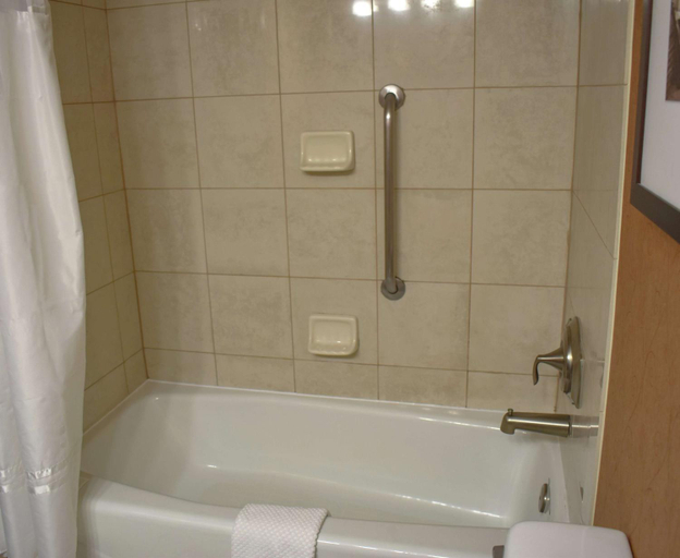 Bathroom, DoubleTree by Hilton Biltmore Hotel-Asheville, Buncombe