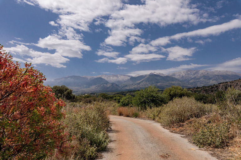 Others 5, Villa Bita, Crete
