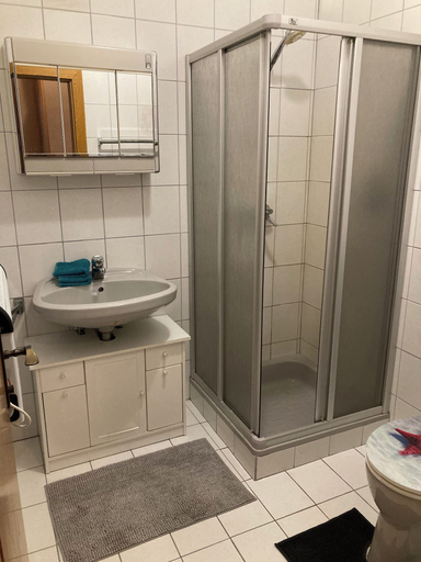 Bathroom 4, Seebrauer, Villach Land