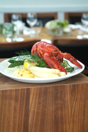 Food & Drinks 5, Texel Suites, Texel