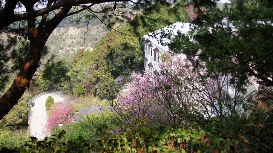 Others 4, Meteor Garden B&B, Taichung