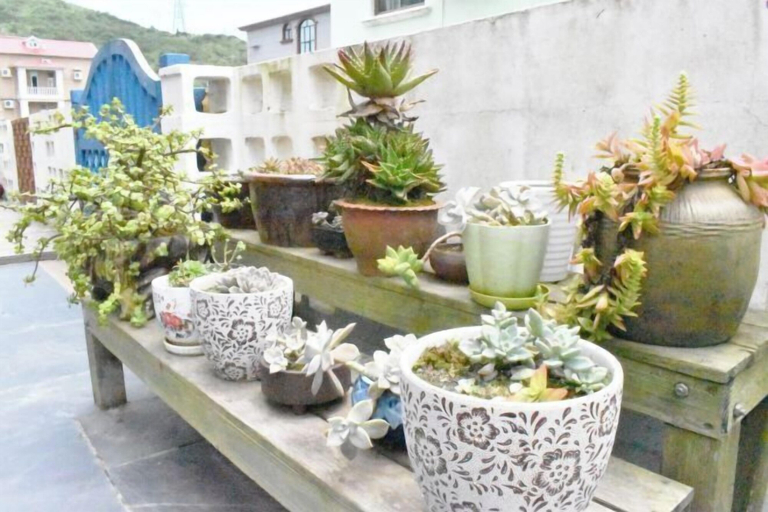 Others 5, BCDJ The inn, Zhoushan