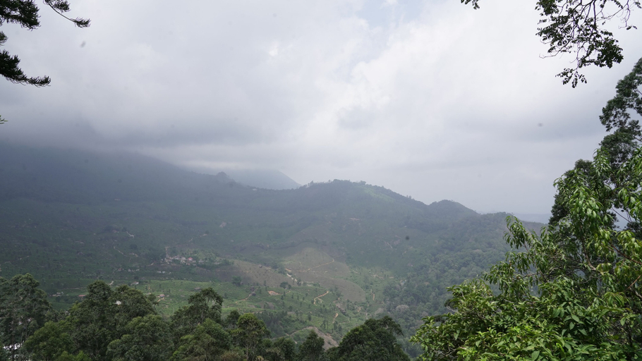 Others 5, Mount Valley Resort - A Secluded Getaway, Idukki