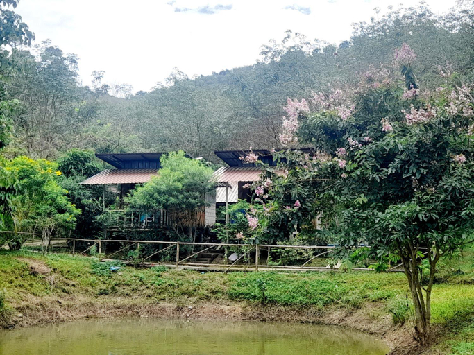 Scenery 5