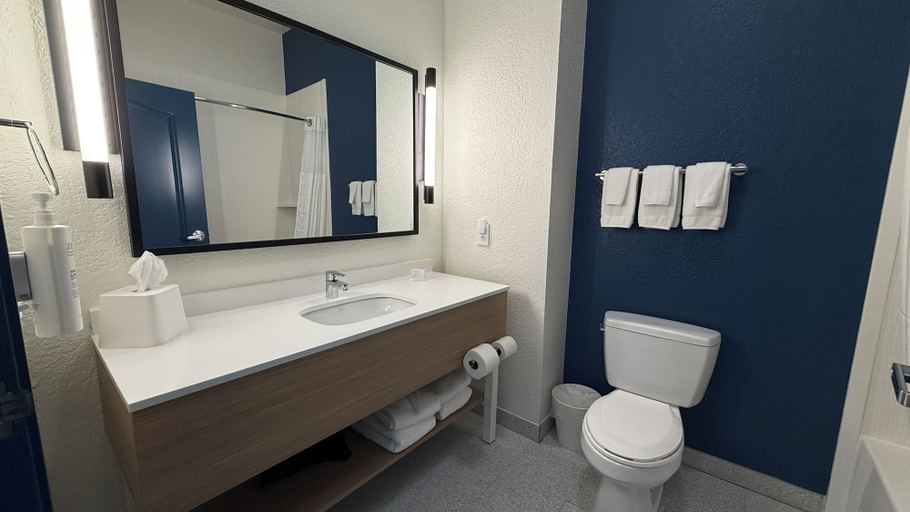 Bathroom 4, Spark by Hilton Brandon, Rankin