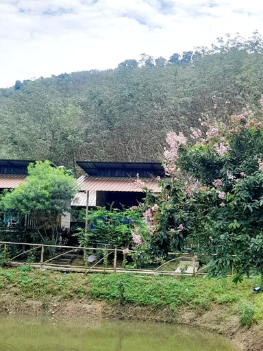 Scenery 3