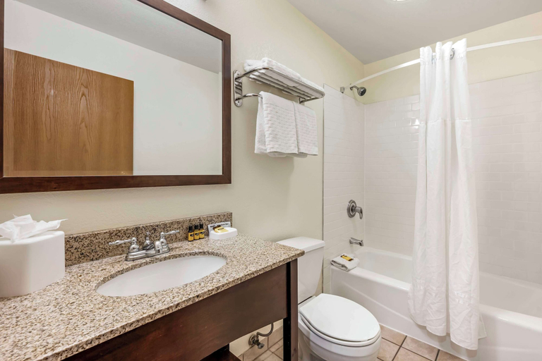Bathroom 4, Best Western Plus Eagle/Vail Airport, Eagle