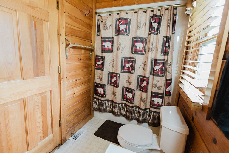Bathroom 3, A Dream Come True, Sevier