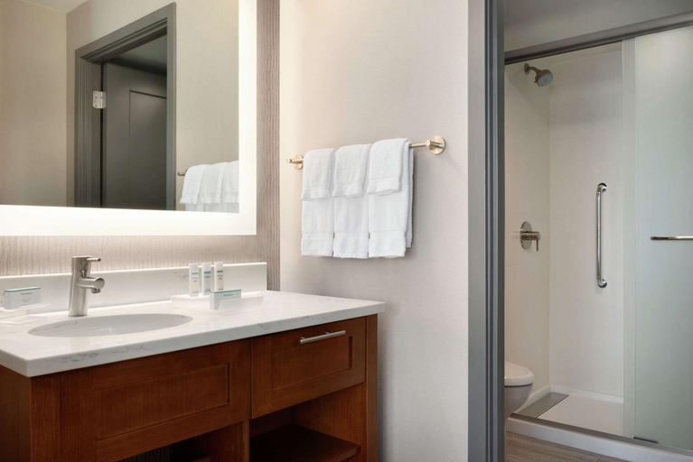 Bathroom 4, Homewood Suites by Hilton Chicago Downtown South Loop, Cook