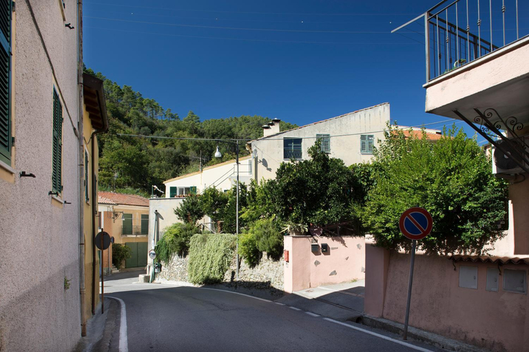 Exterior & Views 1, da Barbara, Savona