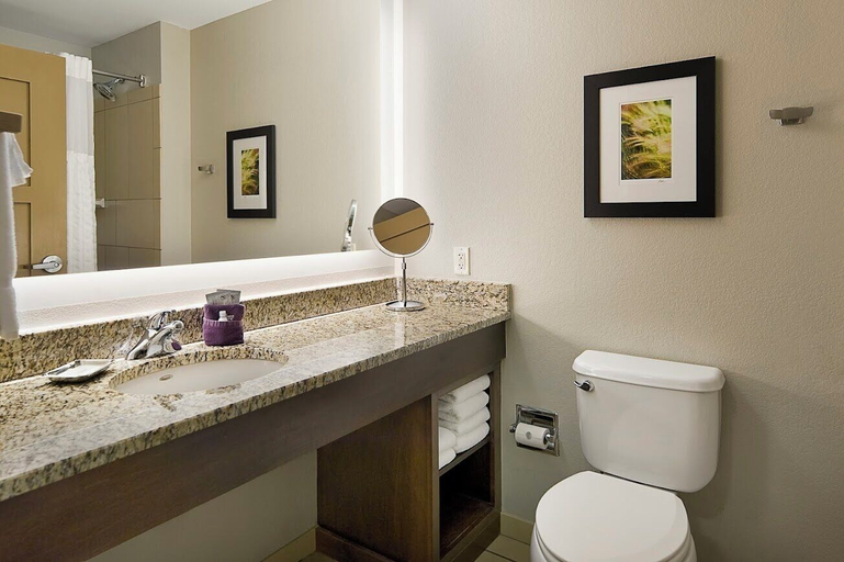 Bathroom 4, Clubhouse Hotel & Suites Pierre, Hughes