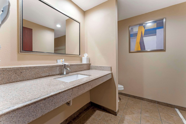 Bathroom 4, Comfort Suites Monaca, Beaver