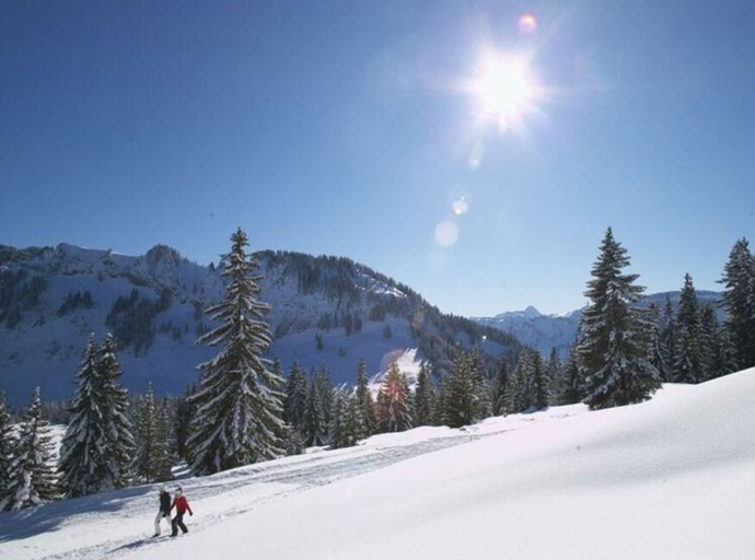 Snow and ski sports, 1 Porzig Modern Retreat, Oberallgäu