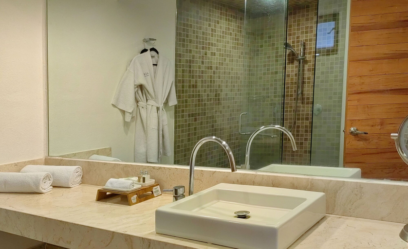 Bathroom 4, Alesia Hotel Boutique & Spa, Aguascalientes