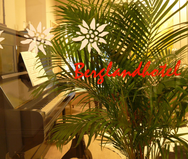 Public Area, Bergland Hotel, Salzburg