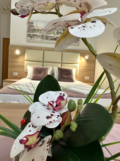 Food & Drinks 4, Sija Apartments