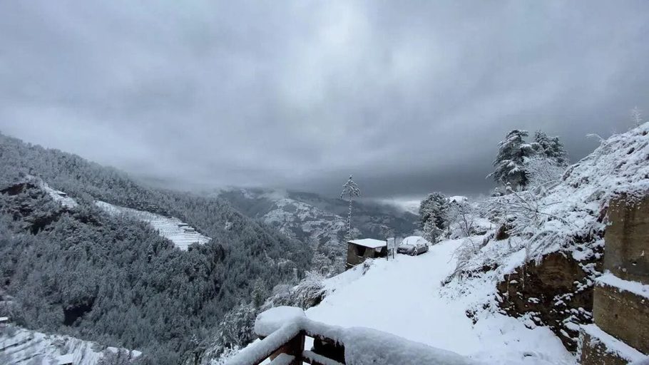 Others 4, Alpine Crest Homestay, Shimla