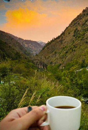 Others 5, Ashapuri Cottage, Kullu