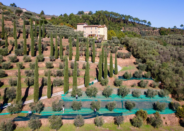 Luxury 6-bed Tuscan Villa near Lucca and Florence, Lucca