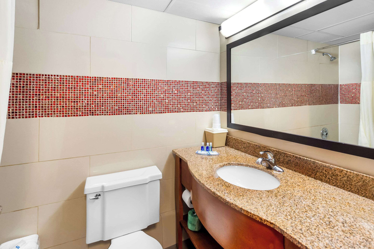 Bathroom 4, Rodeway Inn Capri, Bergen