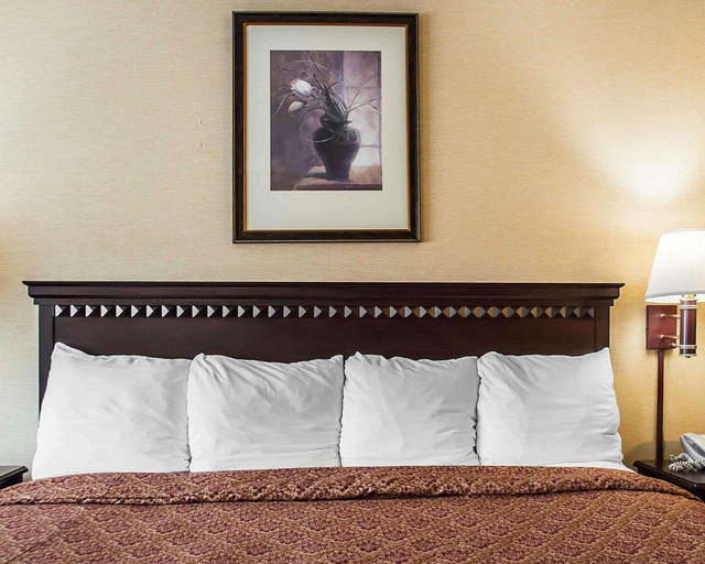 Bedroom 5, Econo Lodge Elmira-Corning, Chemung