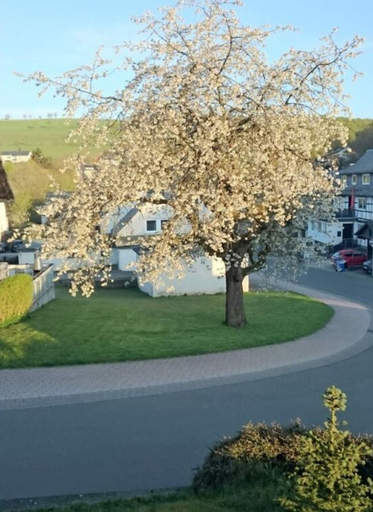 Exterior 2, "ganseliesel" Comfortable Holiday Residence, Waldeck-Frankenberg