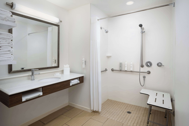 Bathroom 5, Hampton Inn by Hilton Plant City, Hillsborough