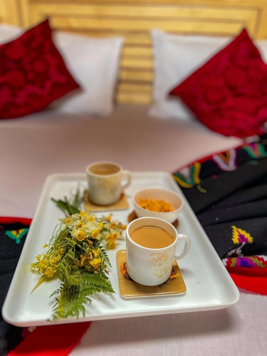 Food & Drinks, Ashapuri Cottage, Kullu