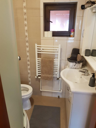Others 1, Cabana Corbu Baile Figa, Beclean