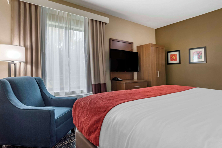 Bedroom 3, Comfort Inn & Suites Downtown near University, Tuscaloosa