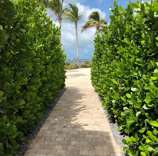 Room 3, 5 Beautiful 4 Bed 3 Bath Pool Home w Free Dock, Monroe