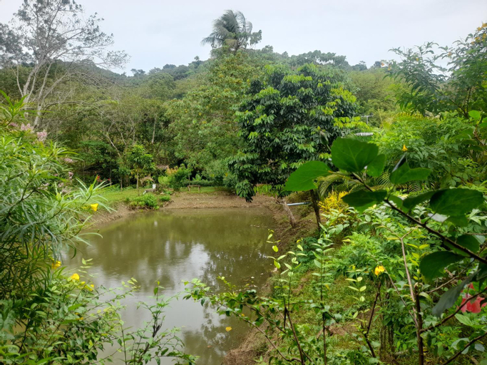 Scenery 14